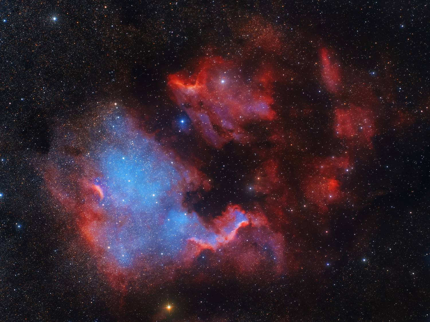 Фотография #13364048