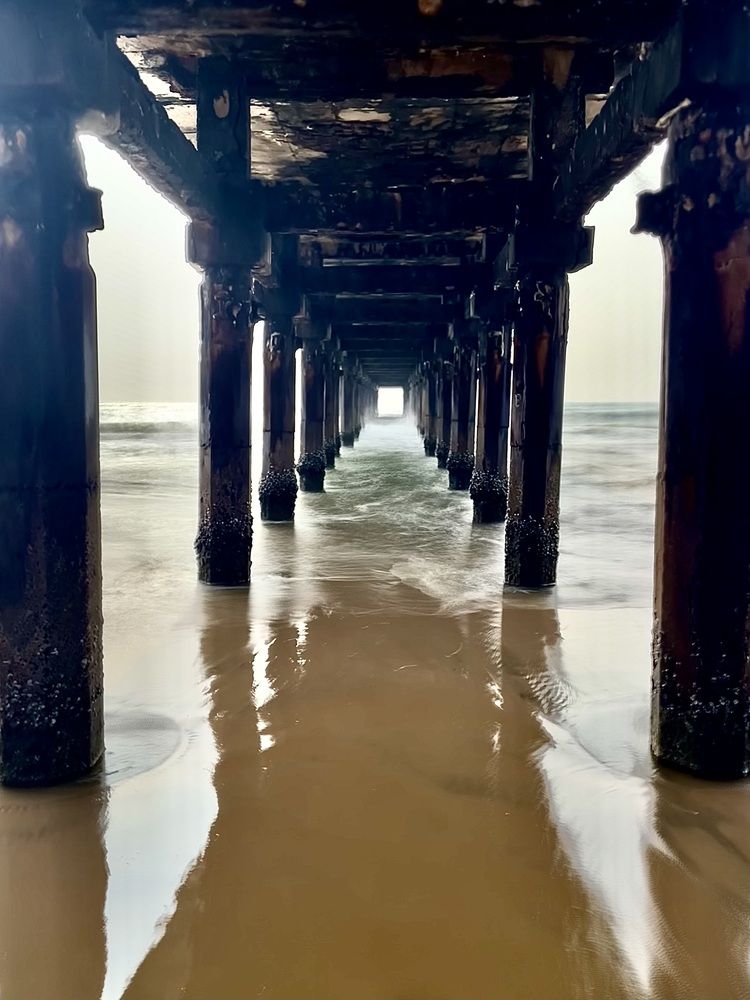 Photograph by Sampath Sai