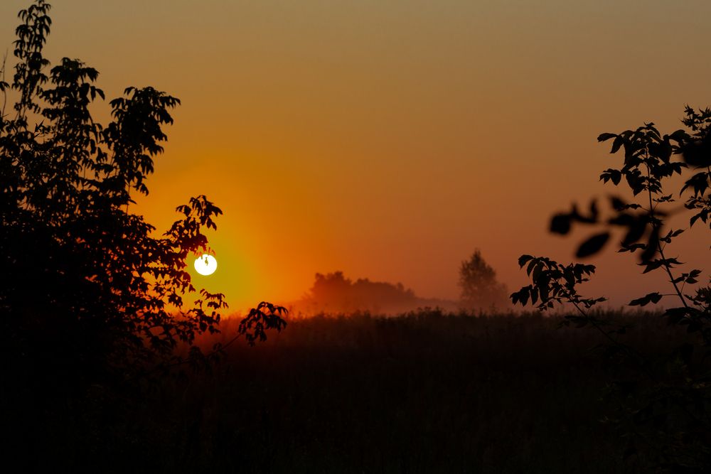 Photograph by Константин Романенко