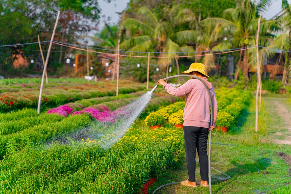 Фотография автора Phong Hao Hoang Nguyen