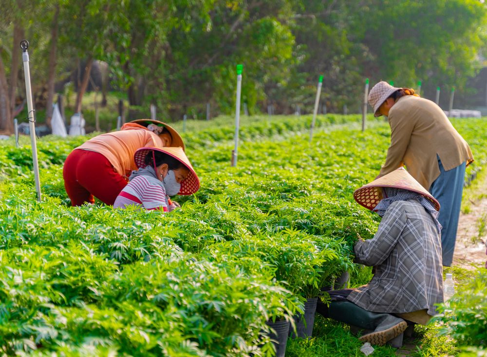 Фотография автора Phong Hao Hoang Nguyen