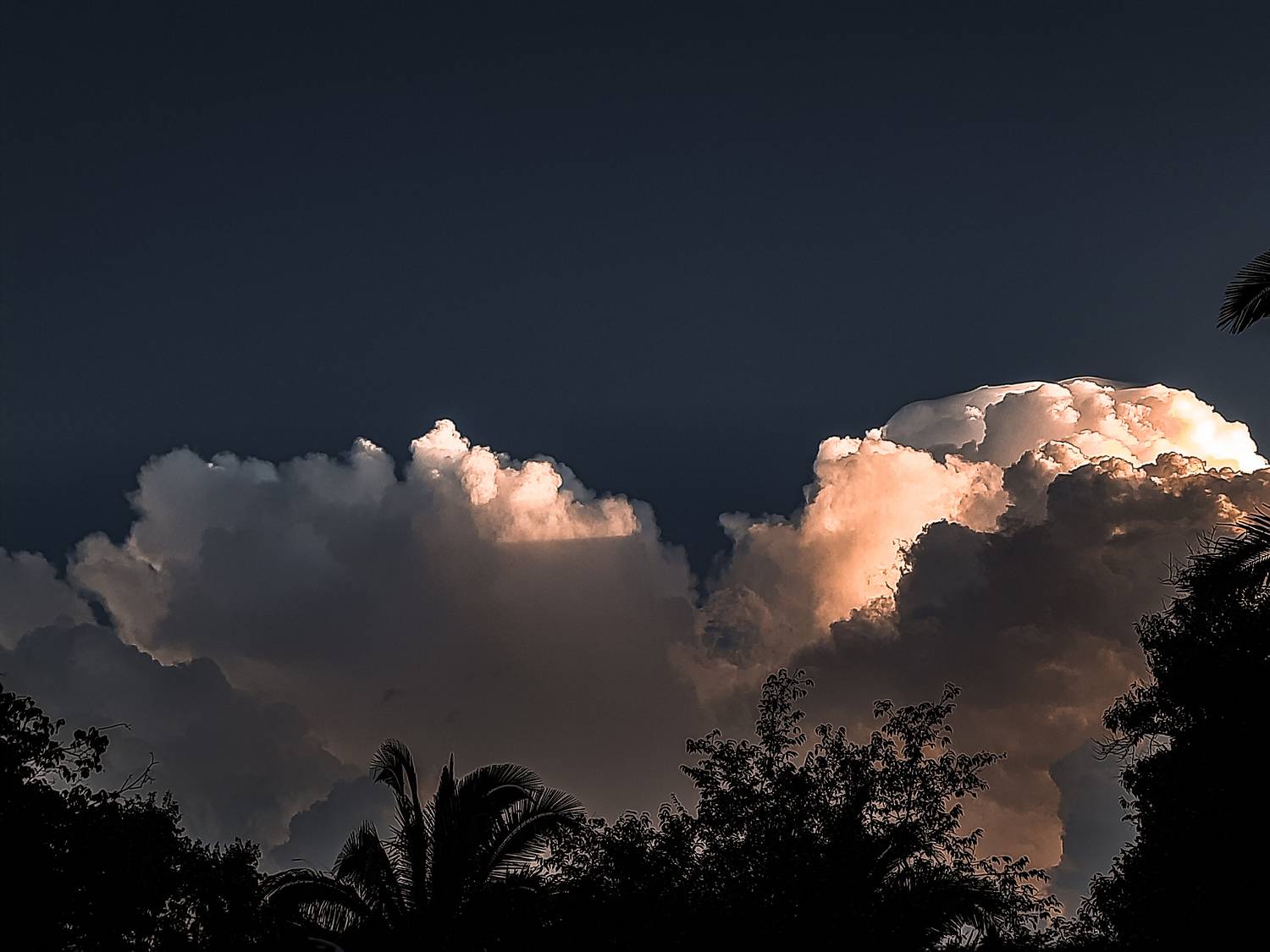 Look at the sky, my love.