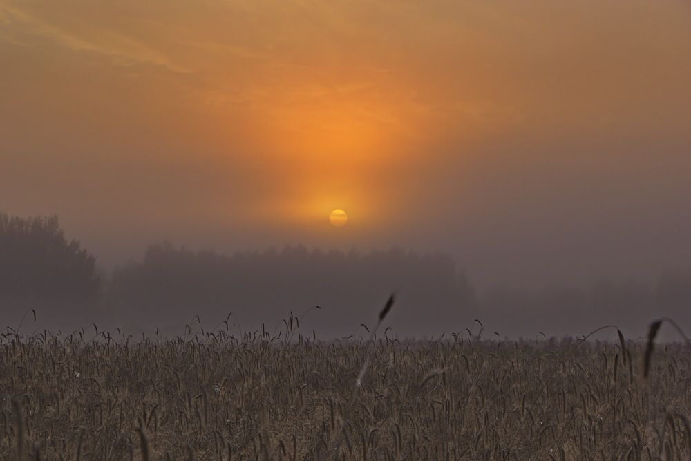 Photograph by Анатолий Борисов