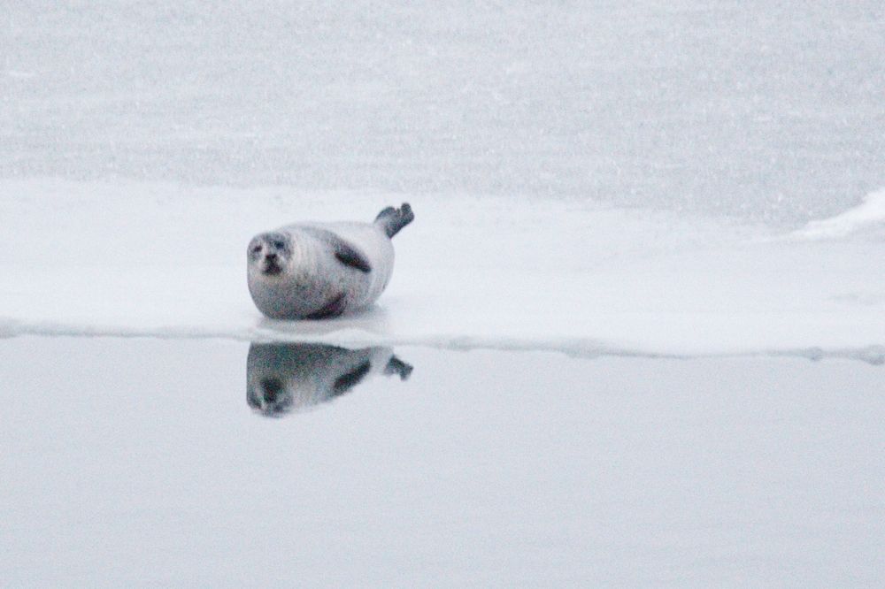 Photograph by Paula Torrent