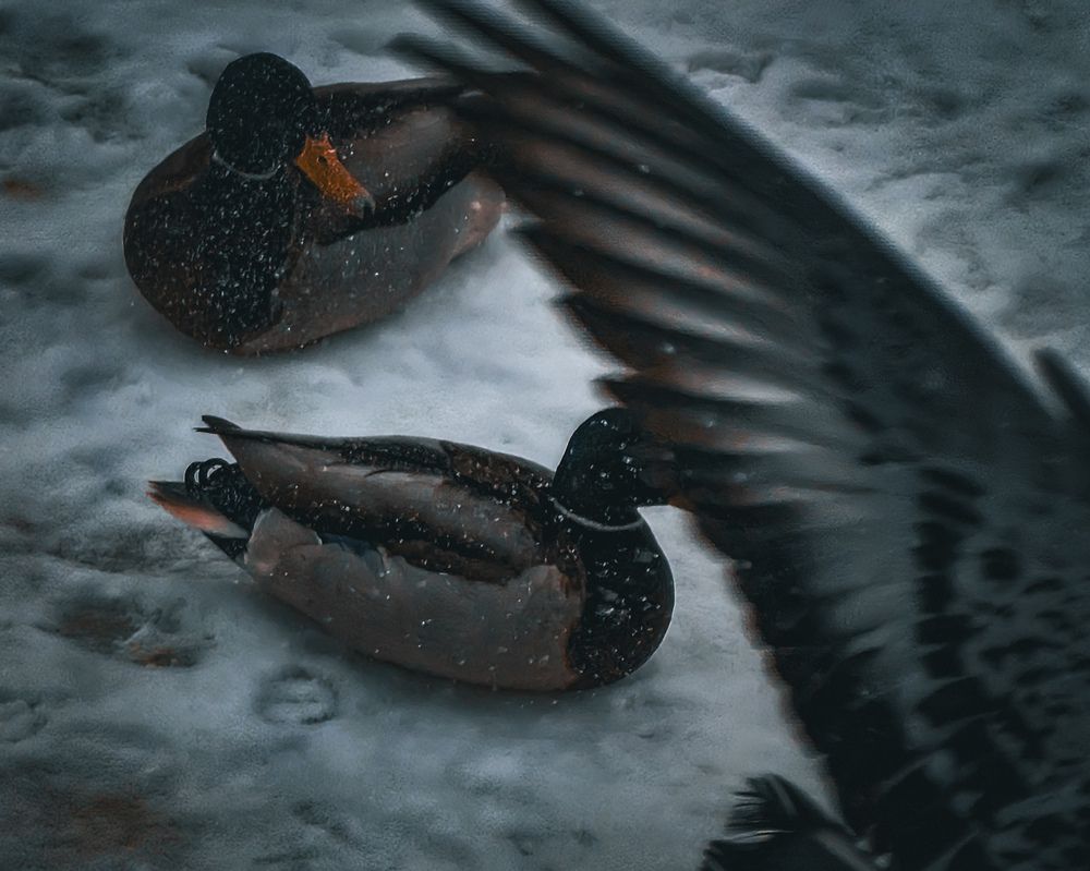 Photograph by Дмитрий Писарев
