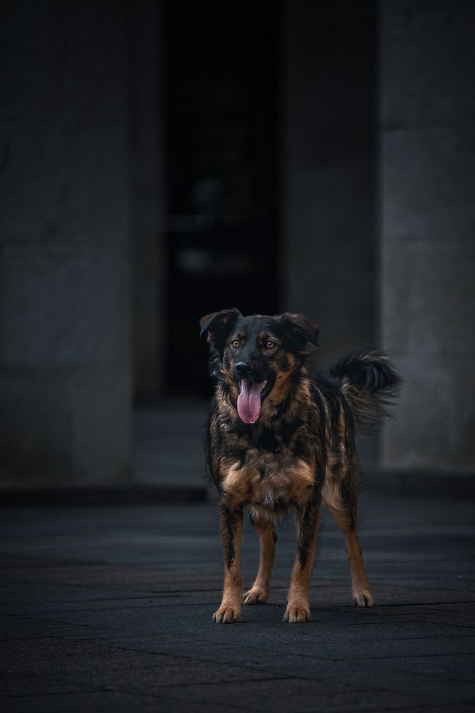 Photograph by Елена Самусенкова