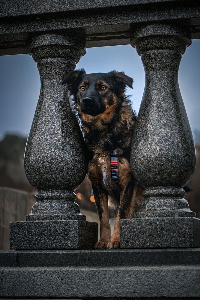 Photograph by Елена Самусенкова