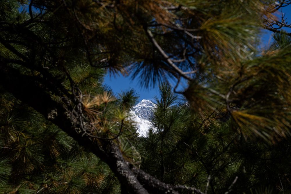 Photograph by Tanush Sagi