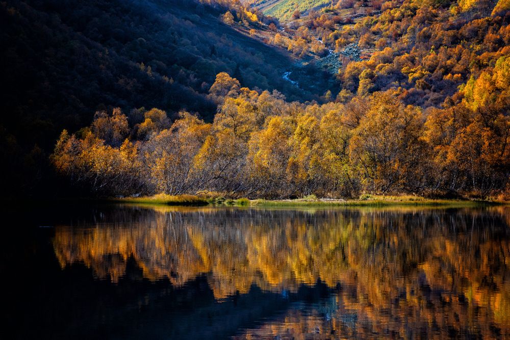 Photograph by EKATERINA WALTER