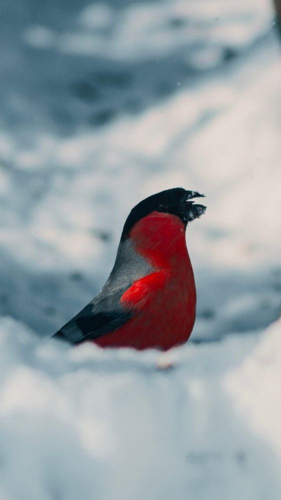 Photograph by Данил Варапаев