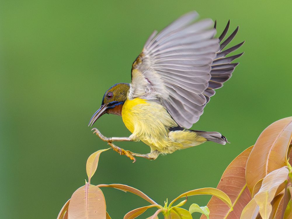 Photograph by Pham Anh Vu