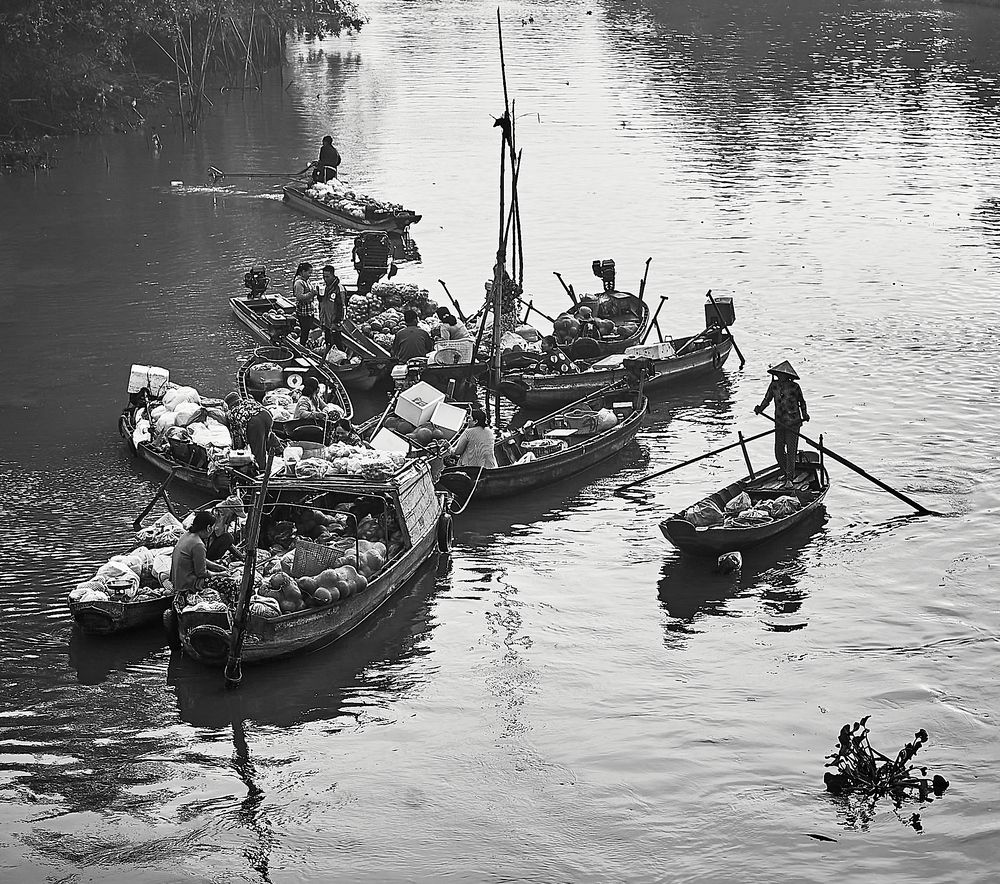 Фотография автора Nguyễn Sơn