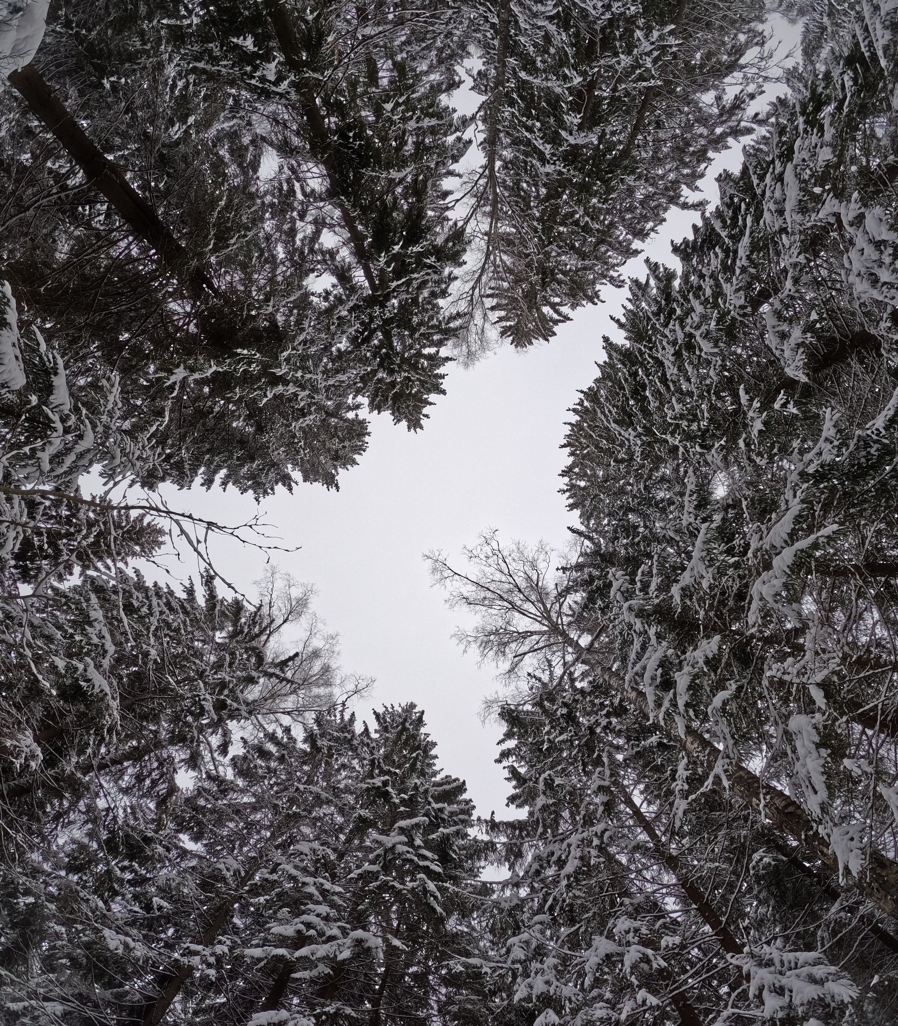 Photograph by Данил Варапаев