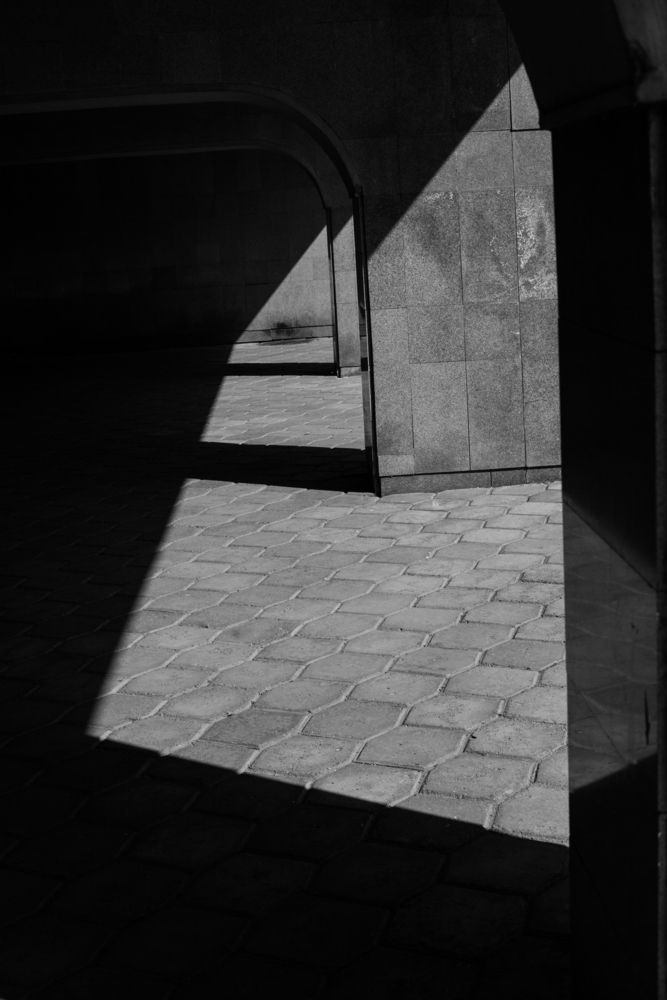 Photograph by Анастасия Долгова