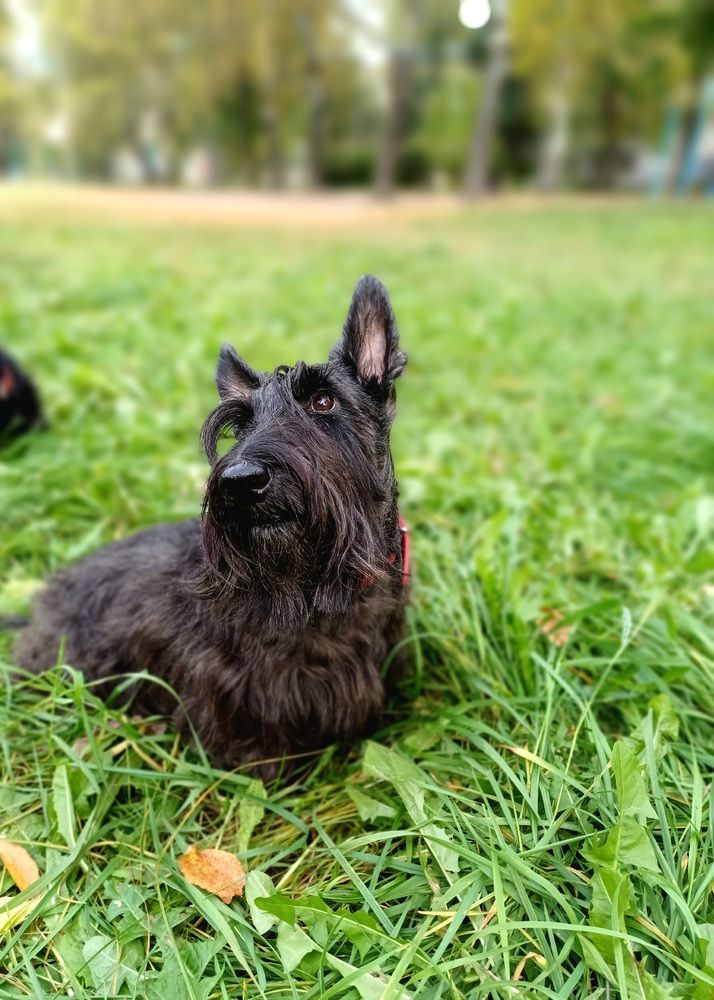 Photograph by Елена Фролова