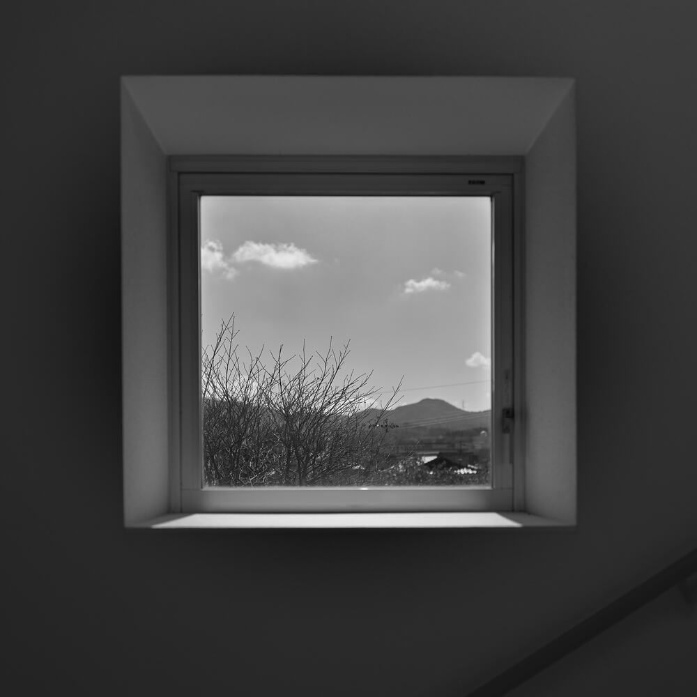Within the Frame