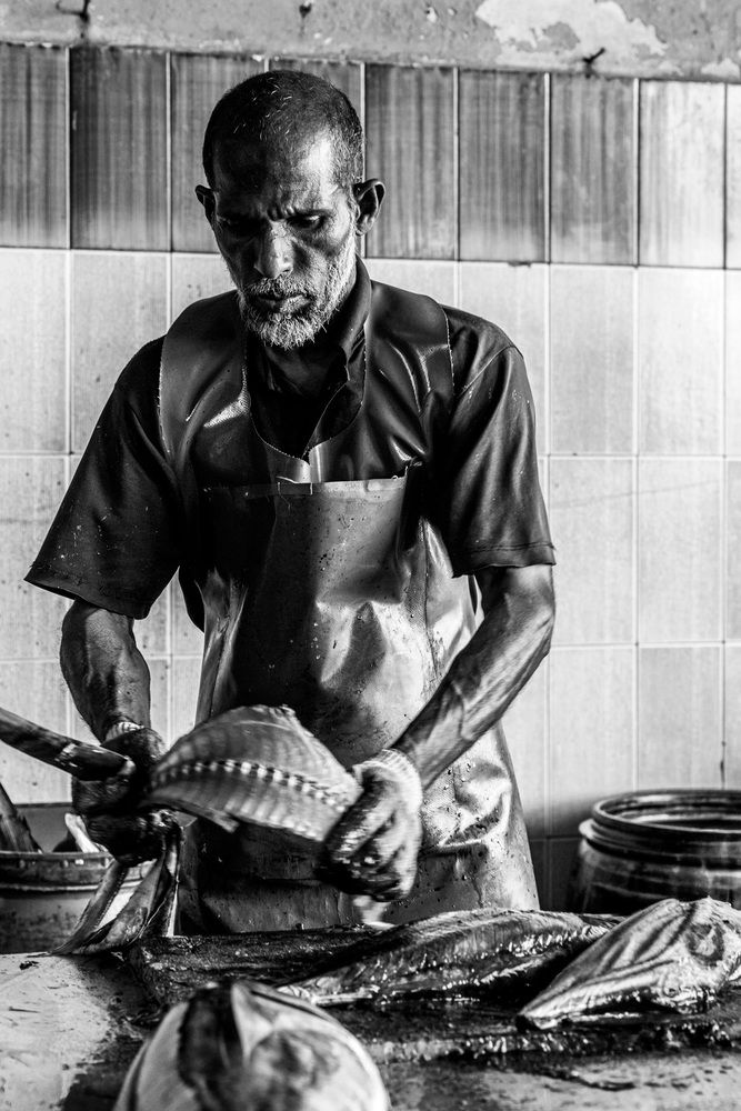 Фотография автора Людмила Аксенова