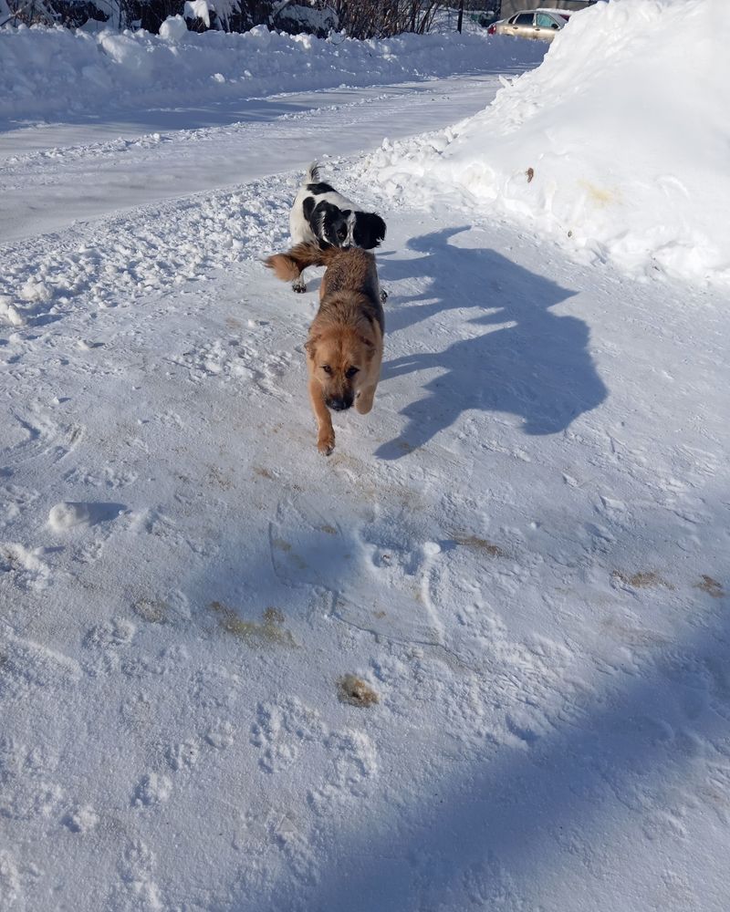 Photograph by Елена Коробченко