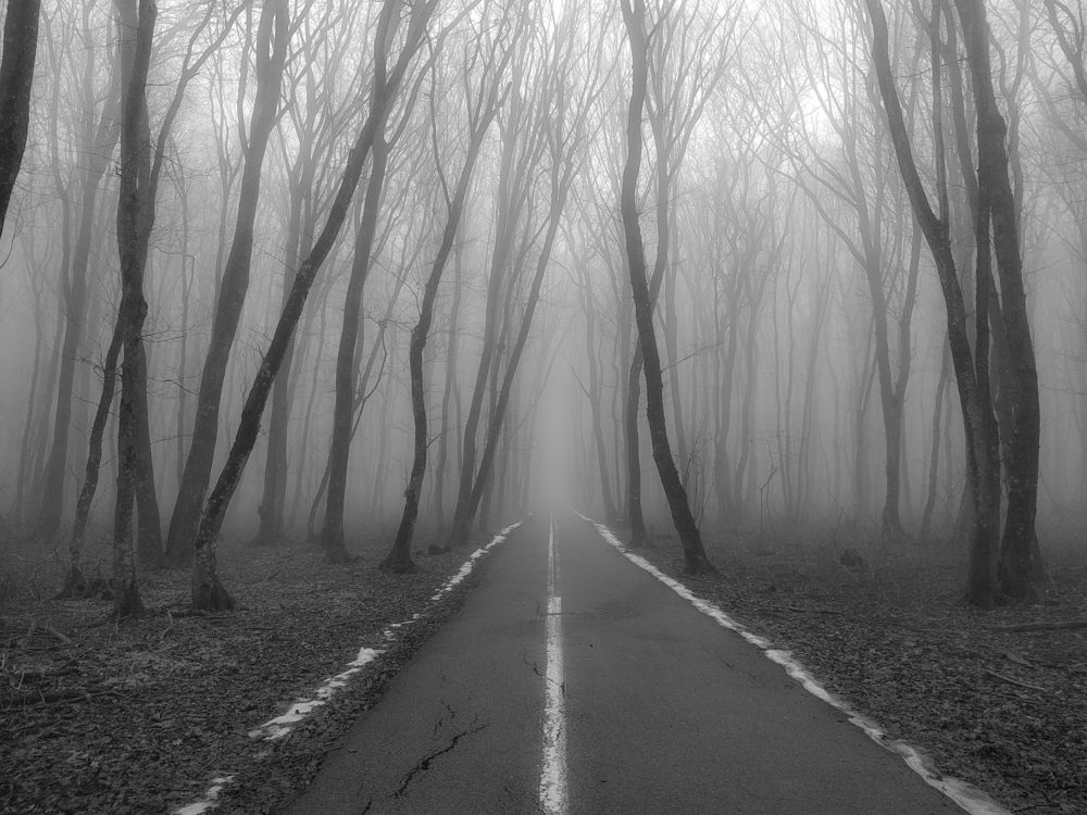 Фотография автора Виталий Маслов