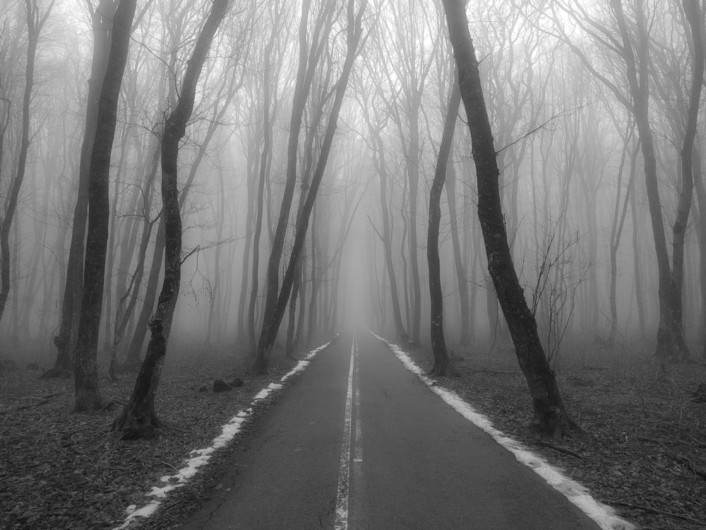 Фотография автора Виталий Маслов