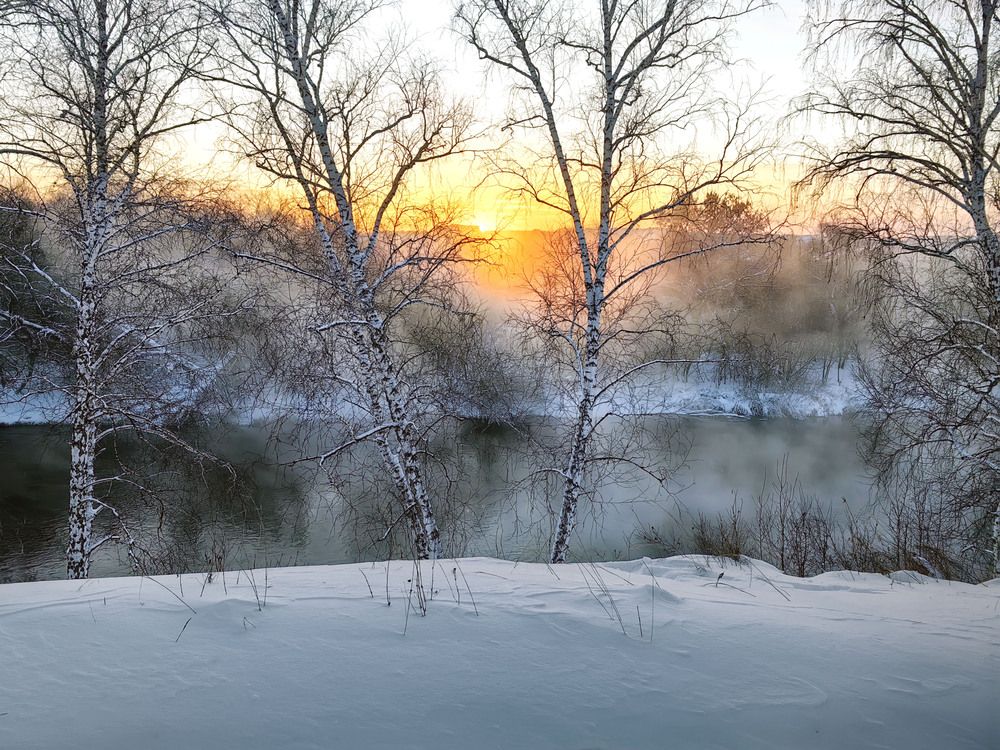 Фотография автора Мишустина Татьяна