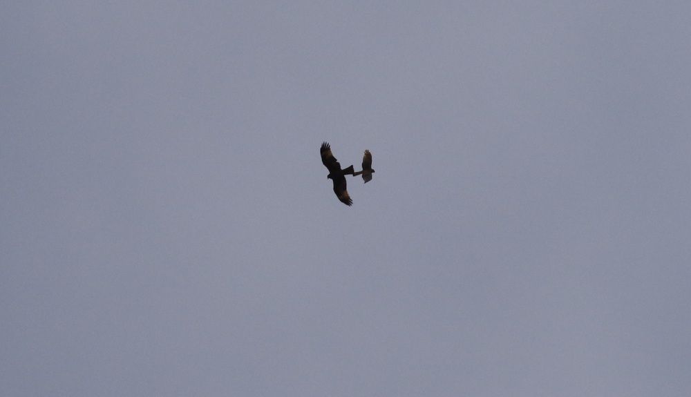 Photograph by Андрей Корытов