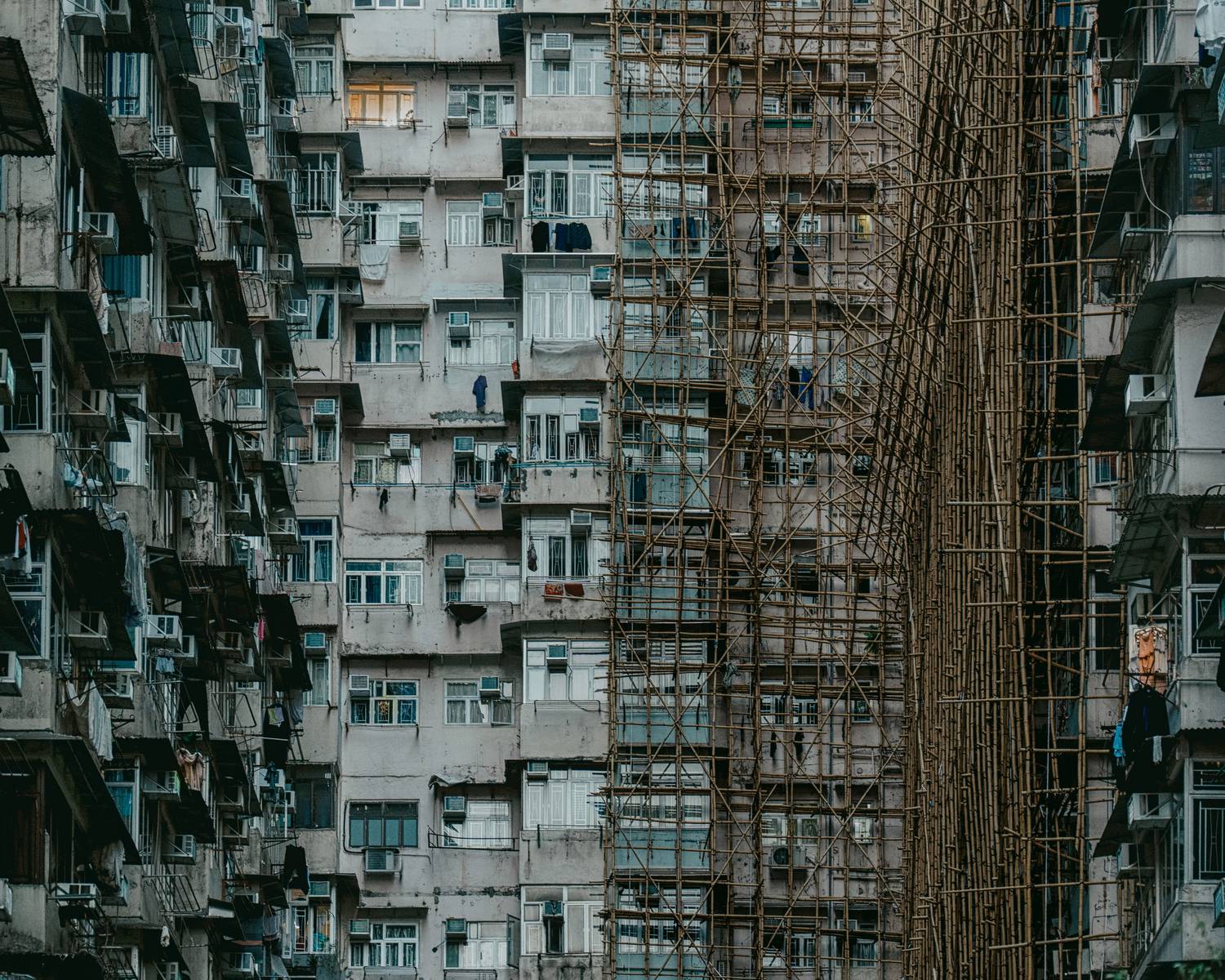 Фотография #13364872