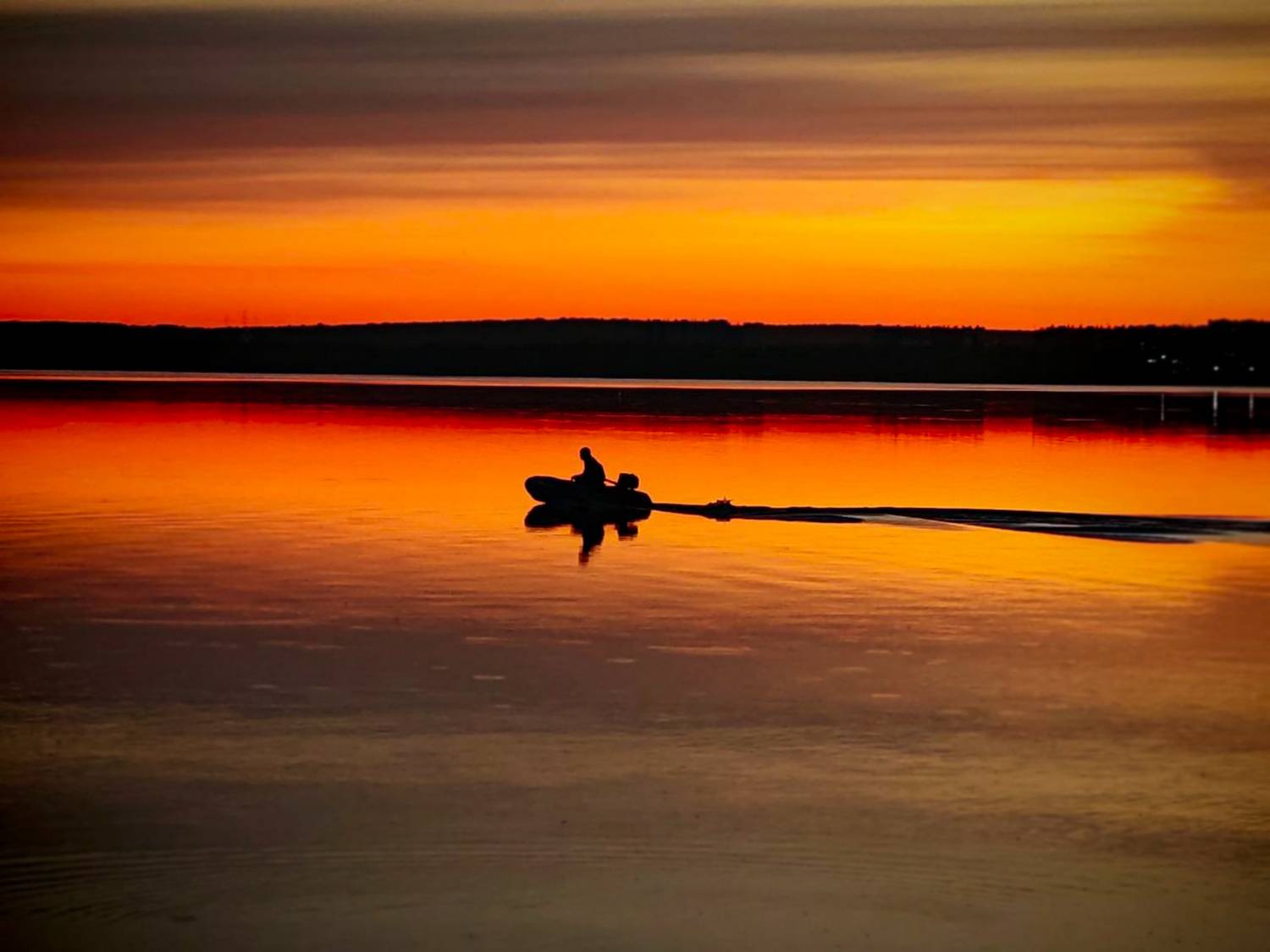 Оранжевое одиночество