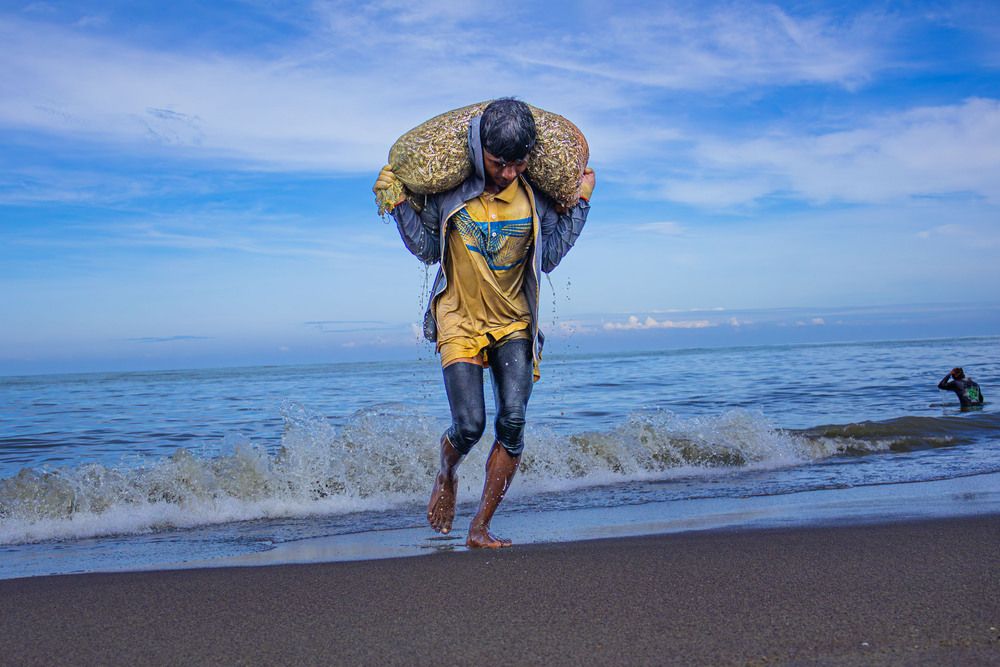 Photograph by K.G.Supun Nayanajith Samaraweera Nayanajith