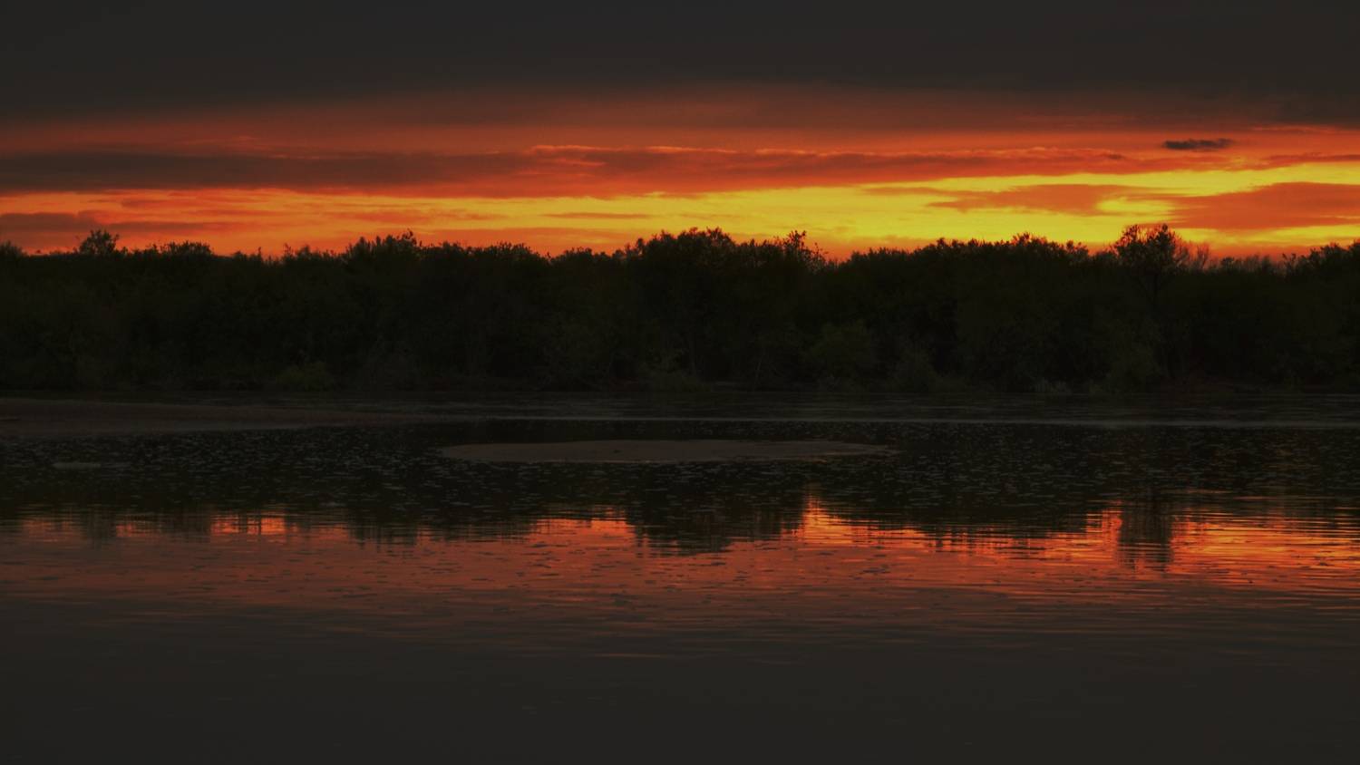 Фотография #13364945