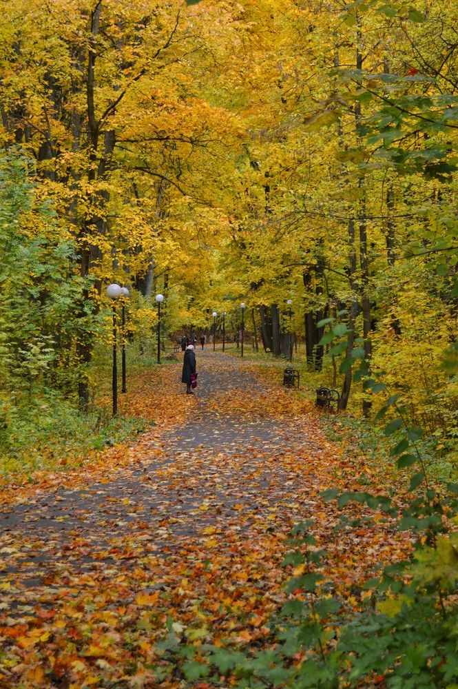 Photograph by Анна Богданова