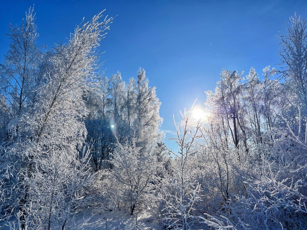 Photograph by Анна Богданова