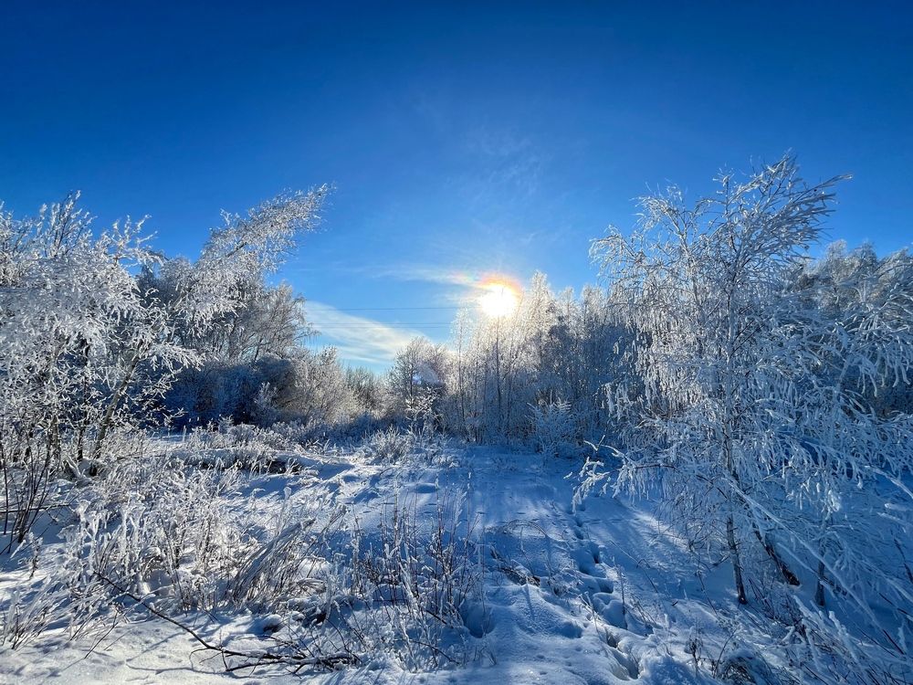 Photograph by Анна Богданова