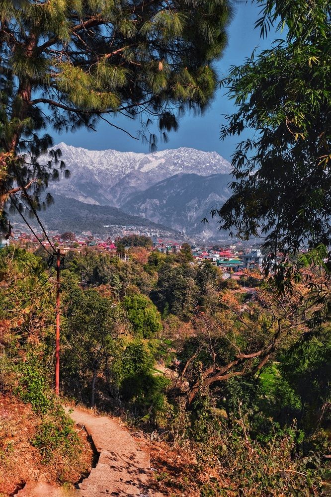 Mountain Serenity Above the Valley