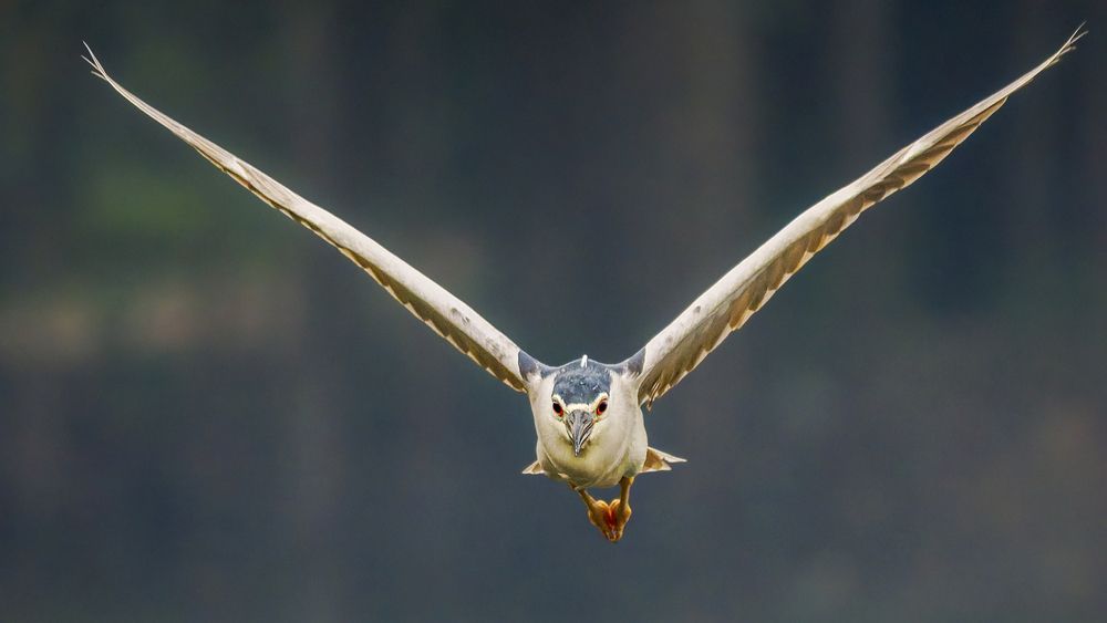 Photograph by Ashit Gandhi