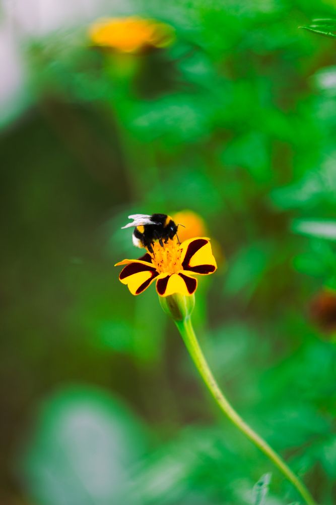 Photograph by Ксюша Гришкина