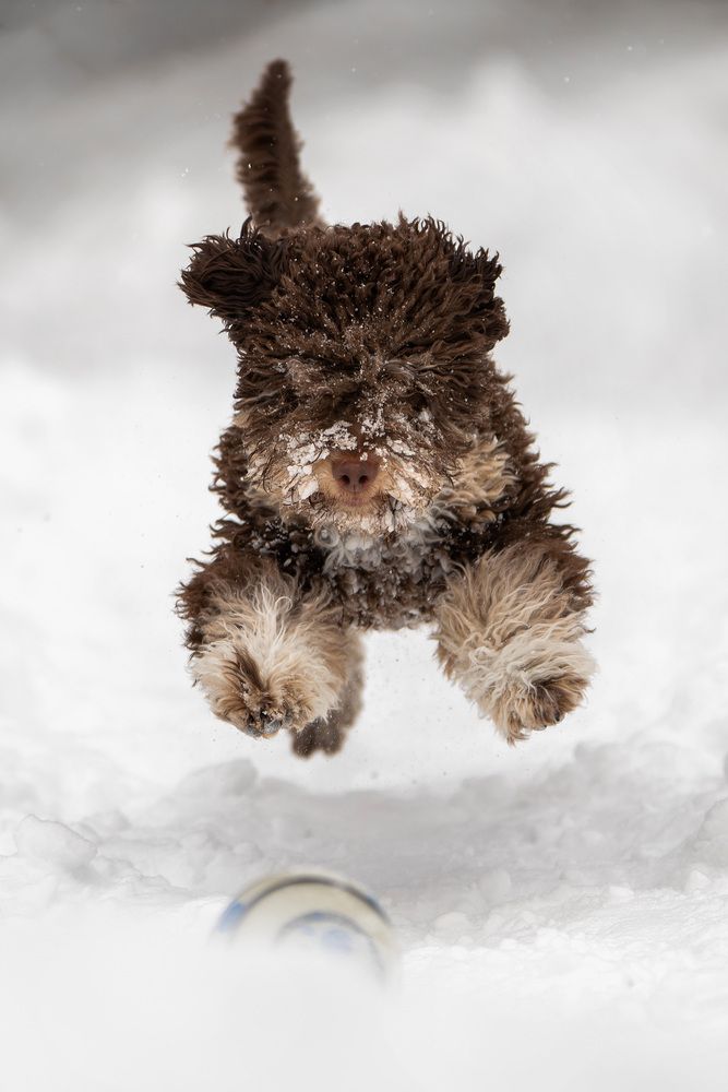 Photograph by Elena Yakuseva