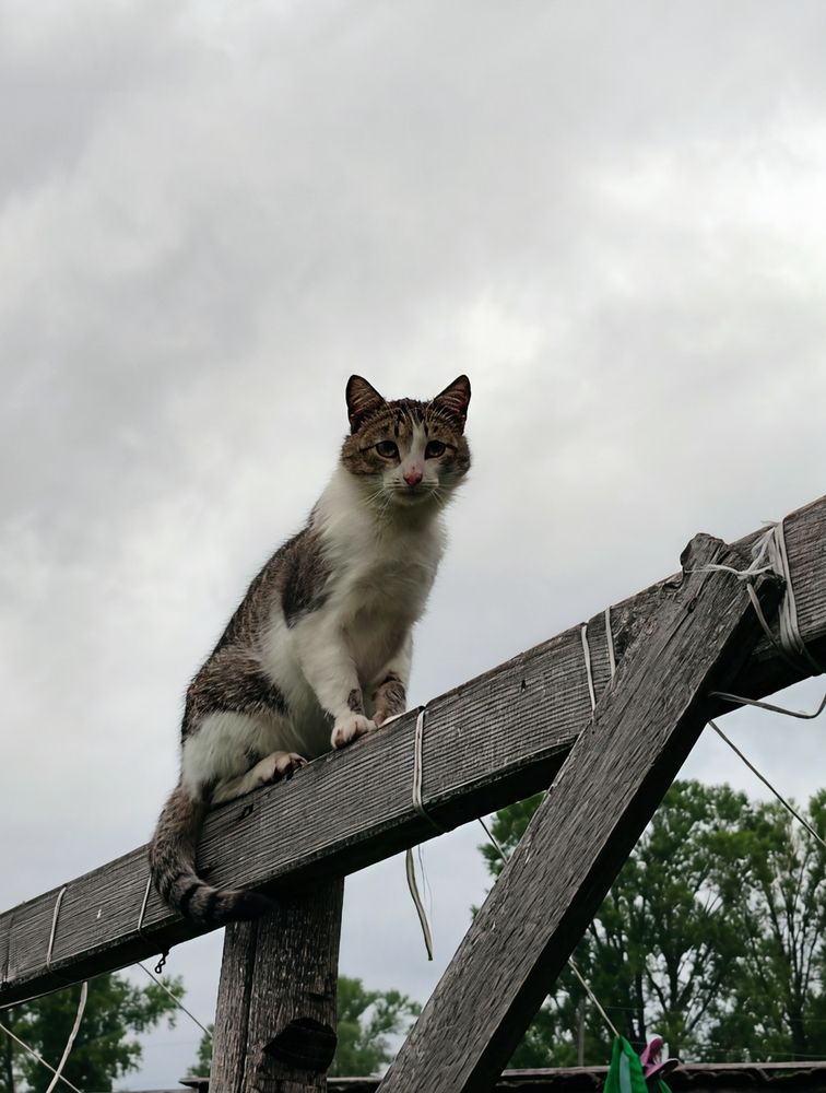 Photograph by Юлия Холомцева