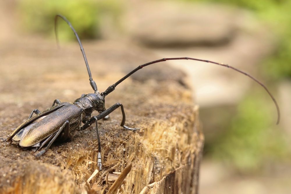 Photograph by Валентина Куренкова