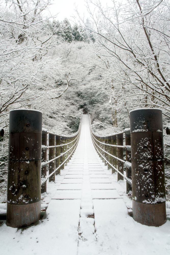 A bridge that changes with the seasons