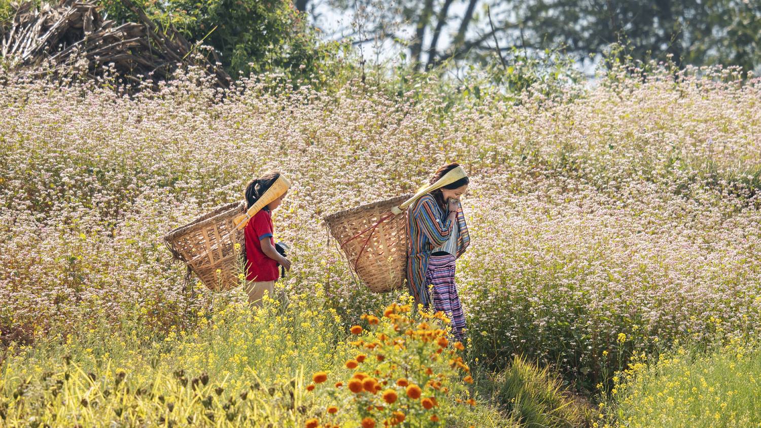 Фотография #13365325