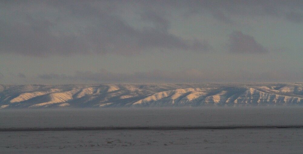 Фотография автора Татьяна Шебаршенко