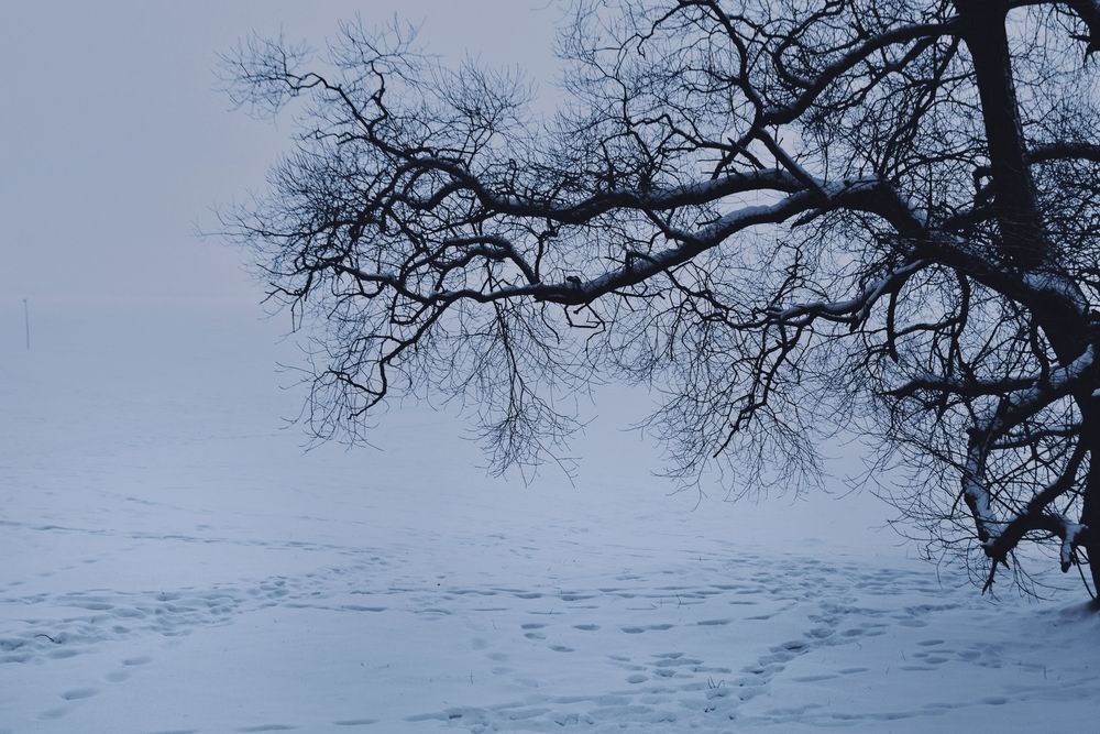 Photograph by Таня Климкович