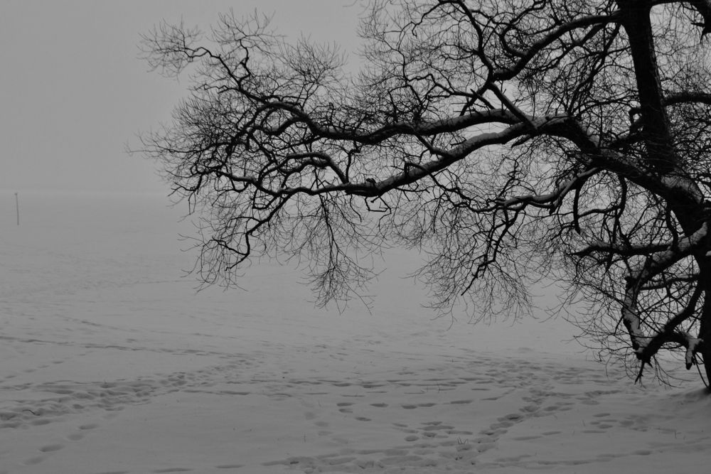 Photograph by Таня Климкович