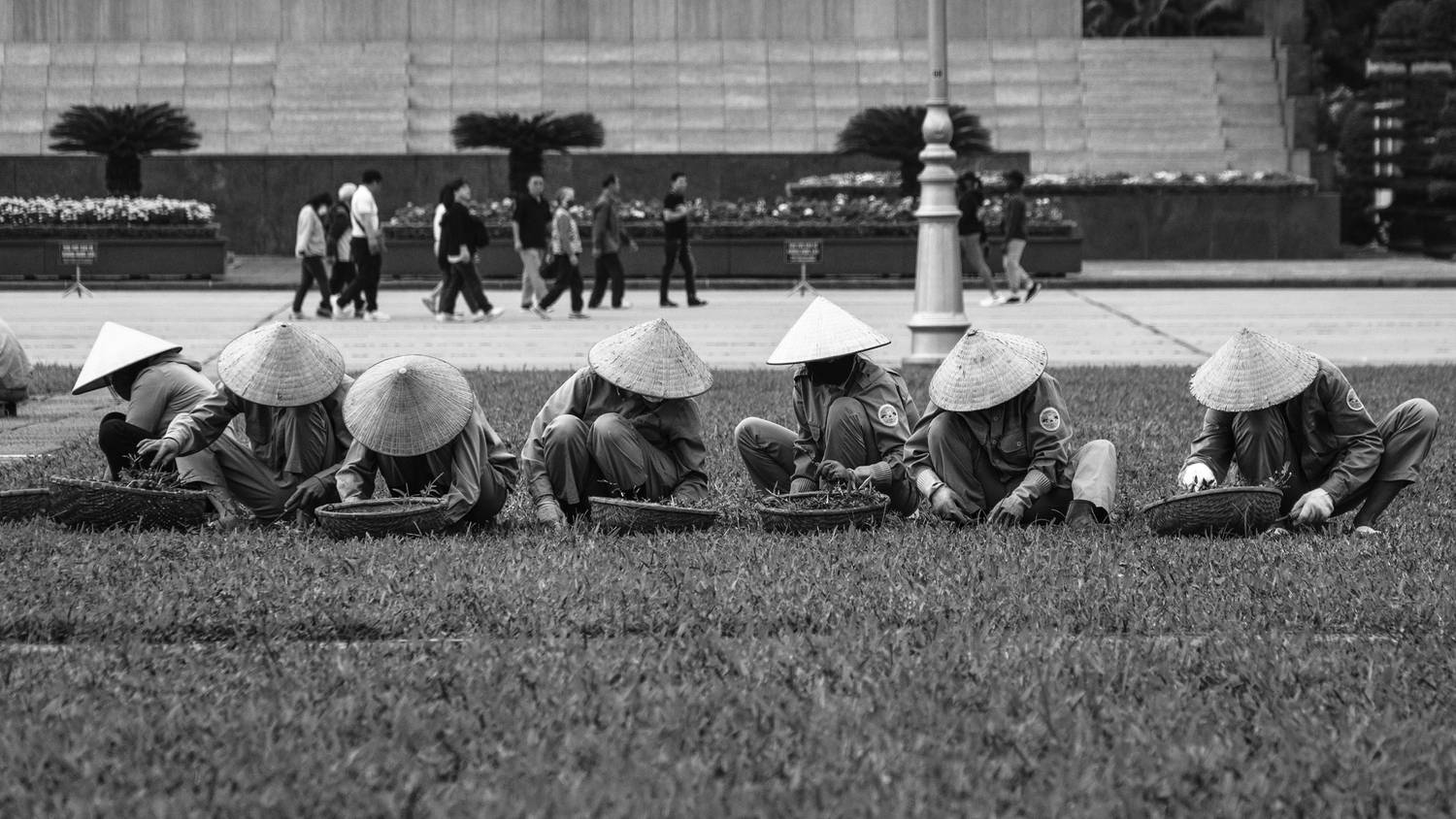 Фотография #13365380