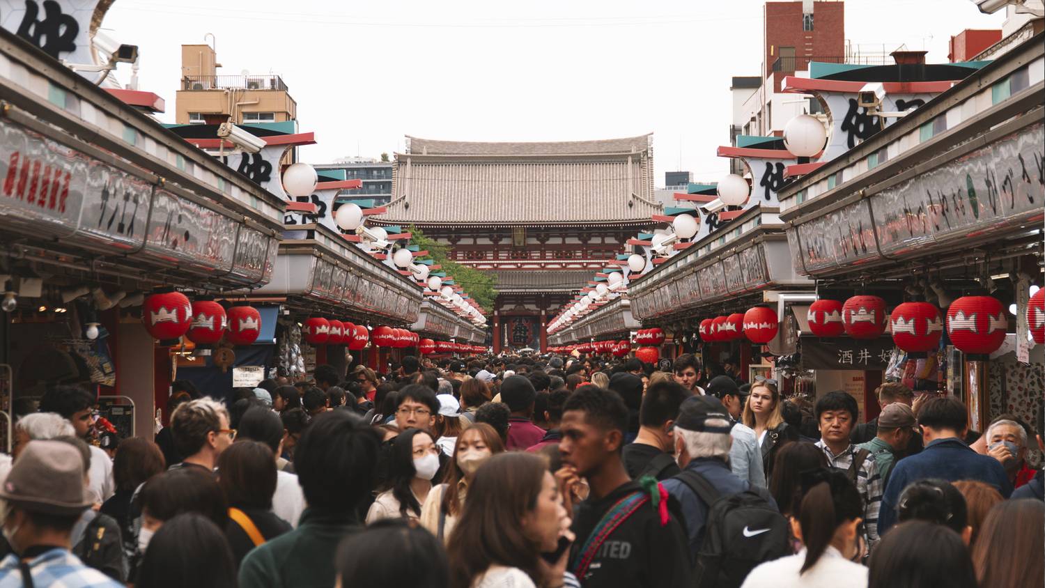 Фотография #13365419