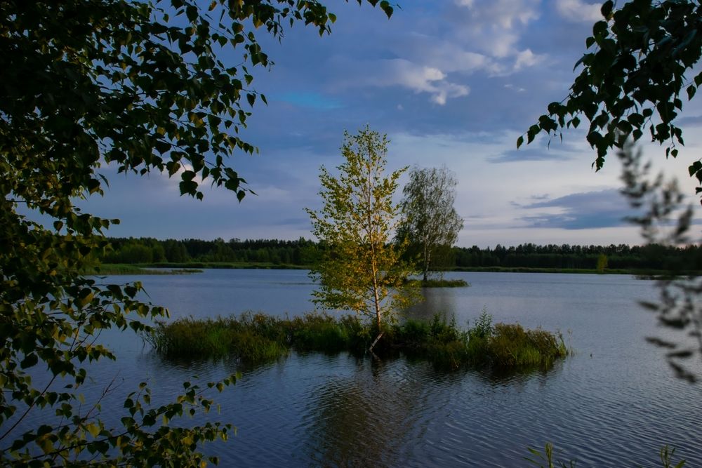 Фотография автора Андрей Куракин