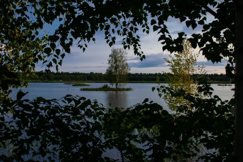 Фотография автора Андрей Куракин