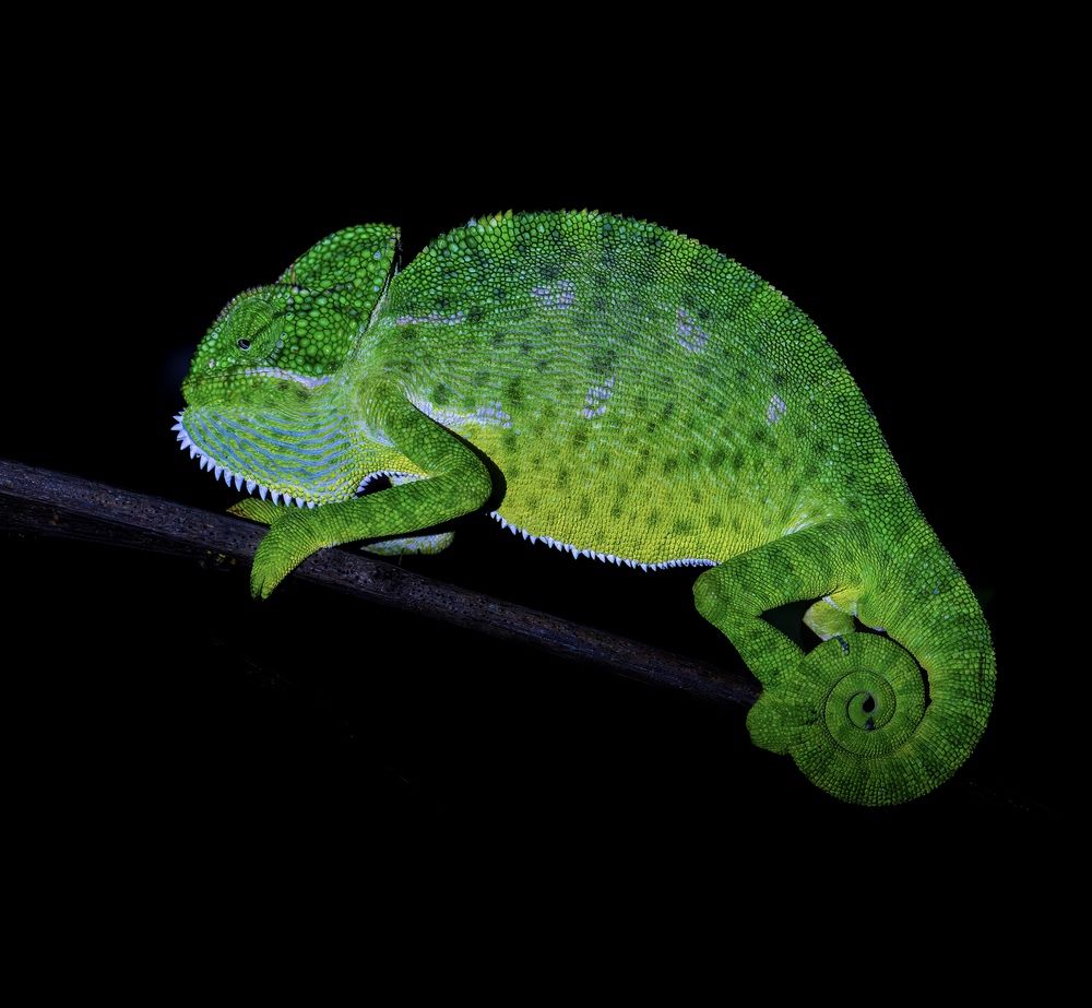 Photograph by Binit Chatterjee
