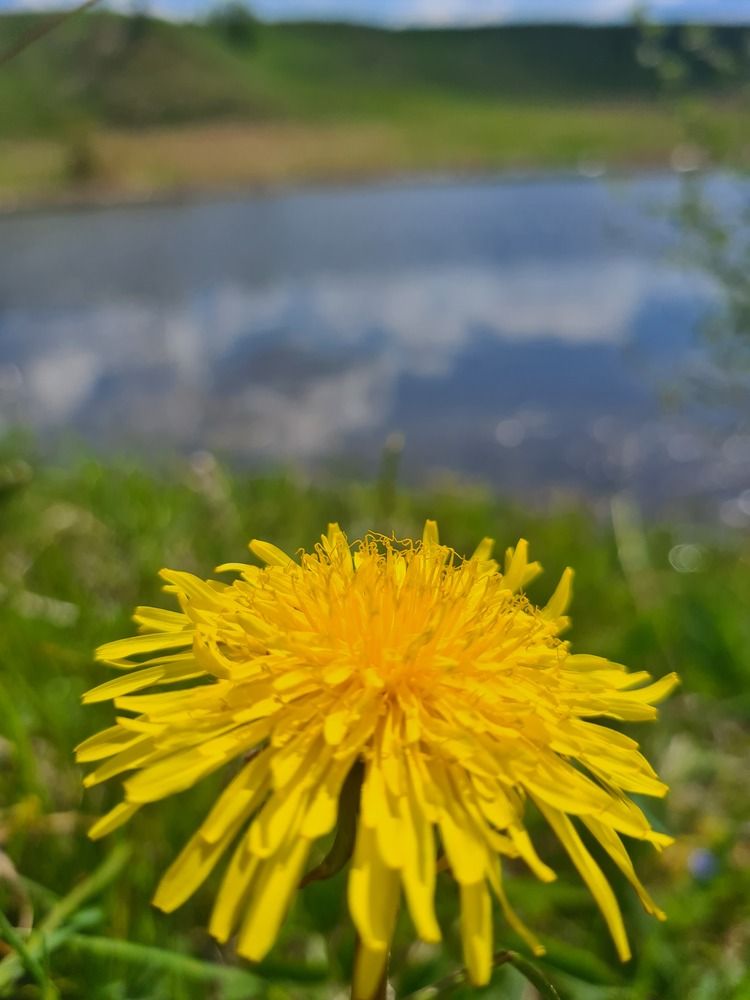 Photograph by Наталья Черепкова